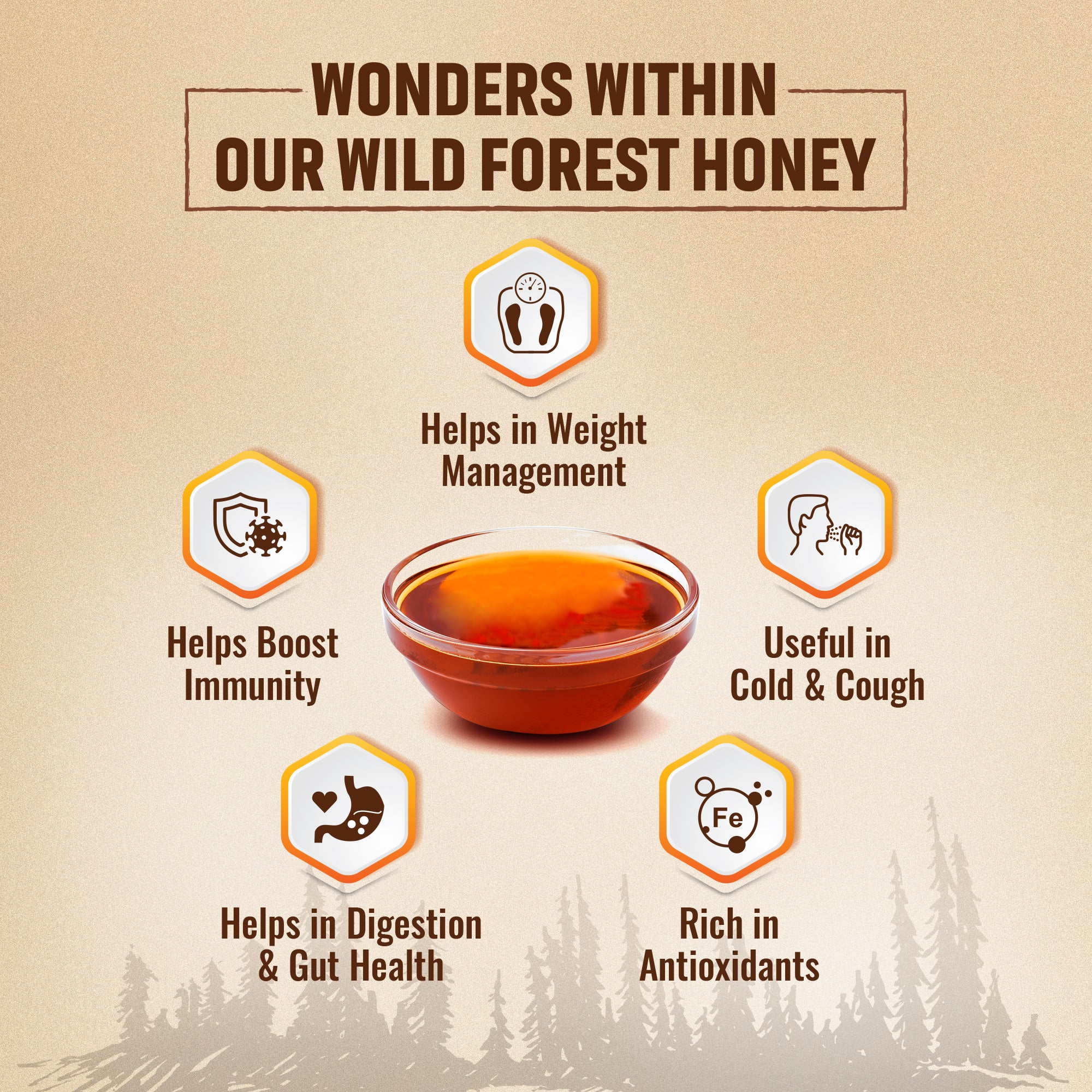 Organic Wild Forest Raw Honey 250g
