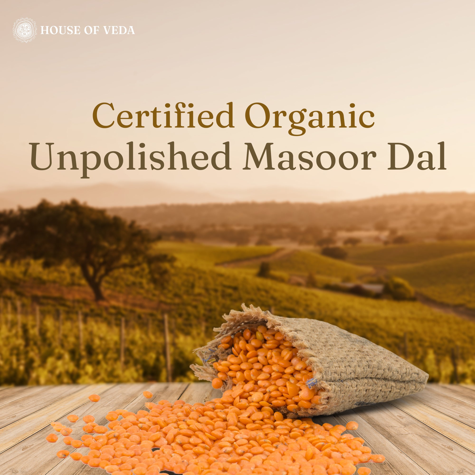 Organic Masoor Dal 500g
