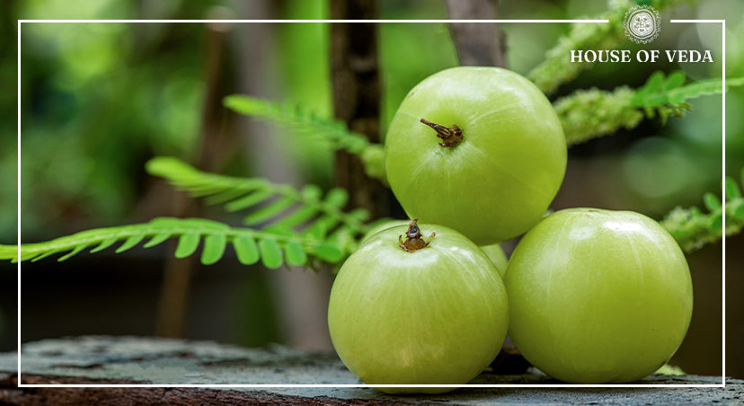 Seven Remarkable Benefits of Amla You Must Know