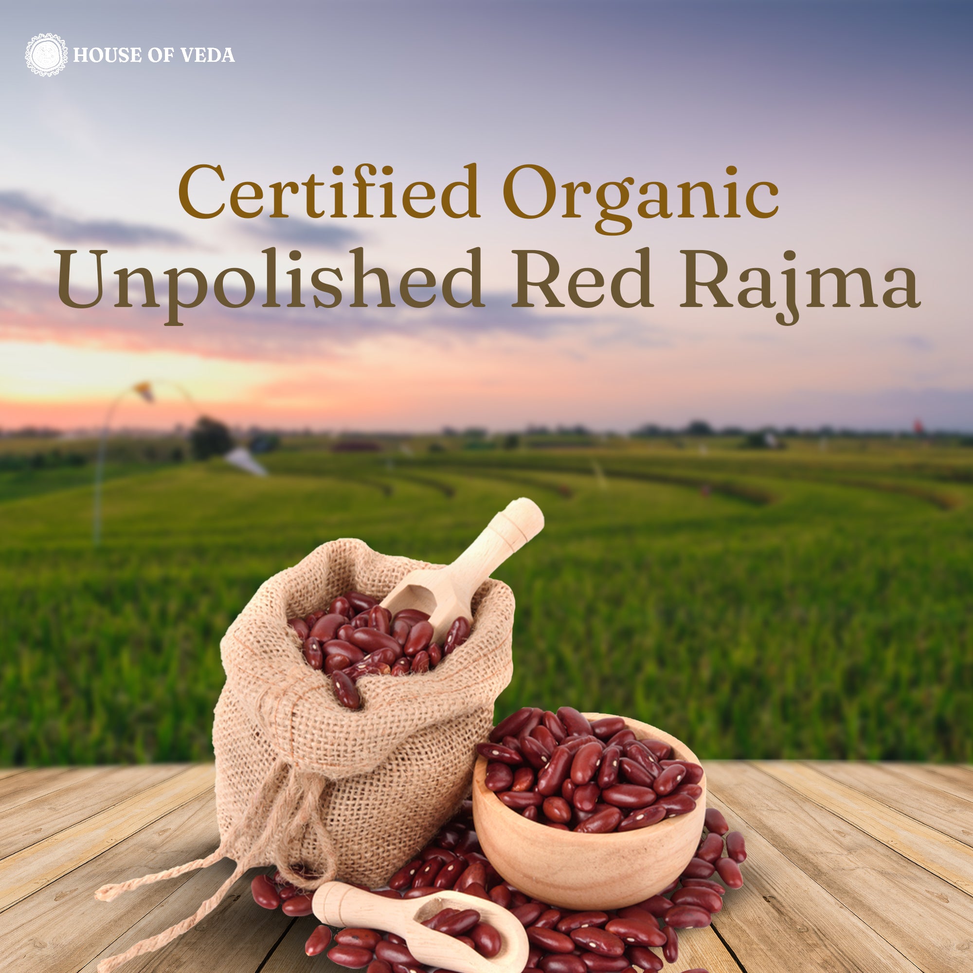 Organic Red Rajma 500g ( Pack of 2 )