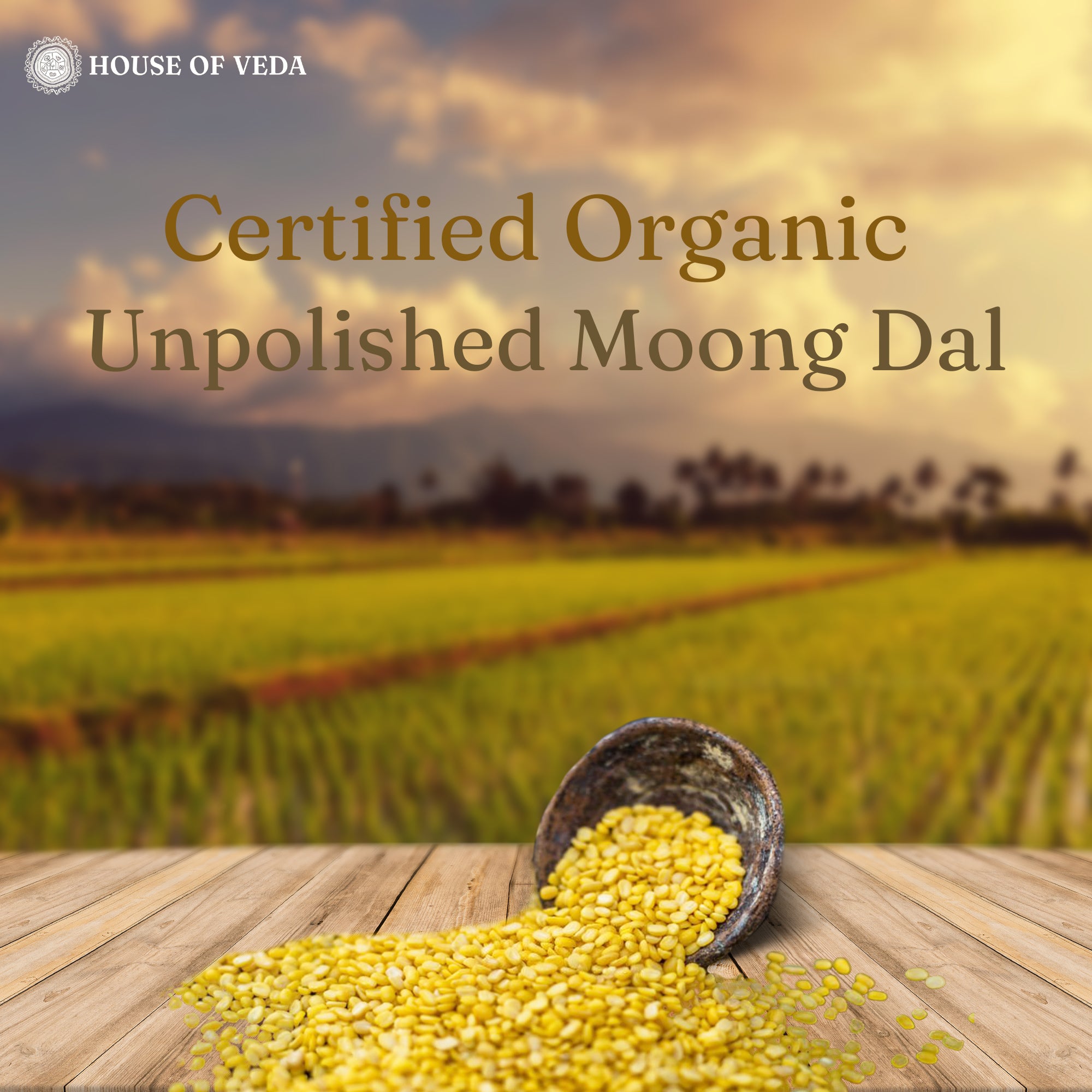 Organic Moong Dal Yellow 500g (Pack of 2 )