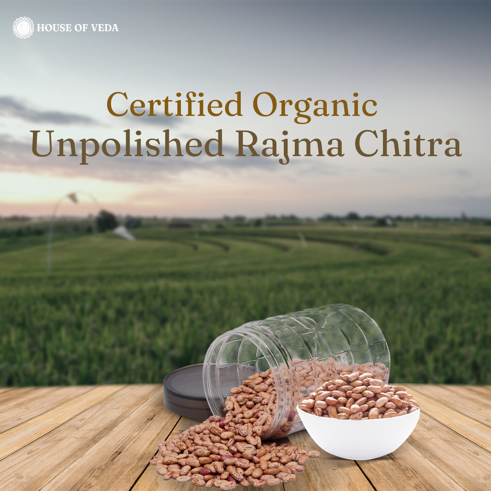 Organic Rajma Chitra 500 g ( Pack of 2)