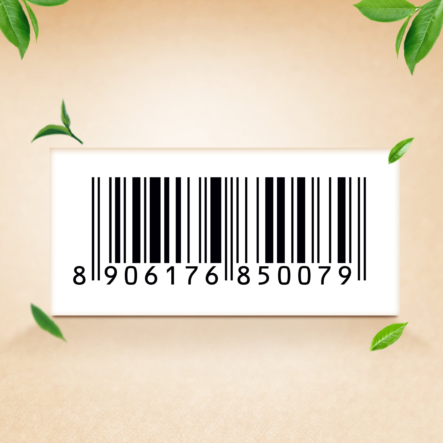 Vedic Tea 25 Tea Bag