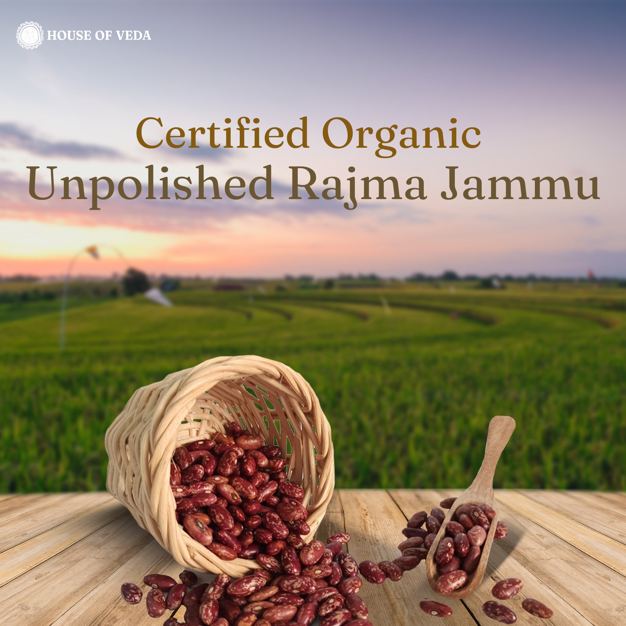 Organic Rajma Jammu 500g