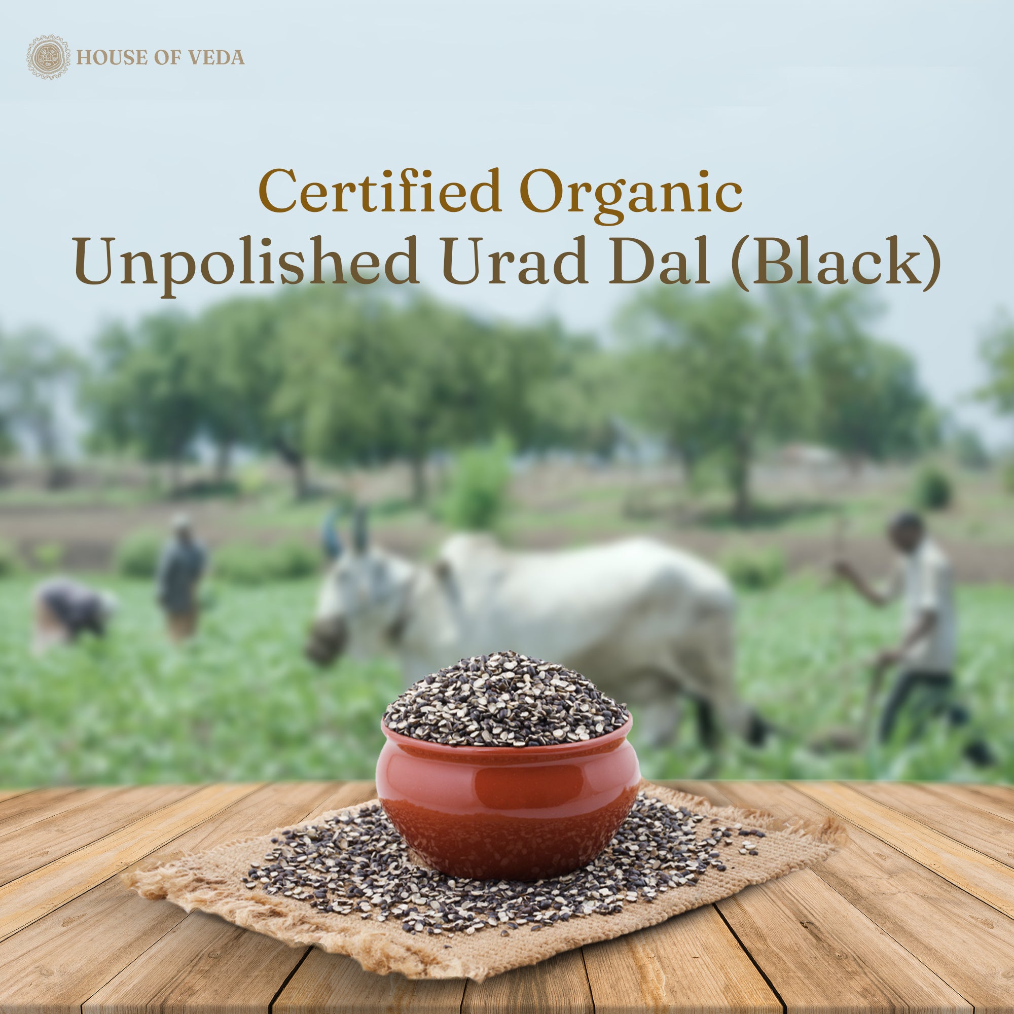 Organic Urad Dal Black Whole 1Kg