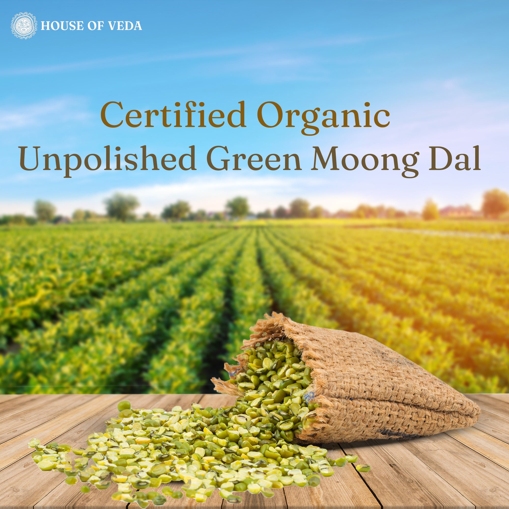 Organic Green Moong Dal 500g